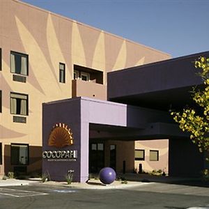 Cocopah Resort And Conference Center